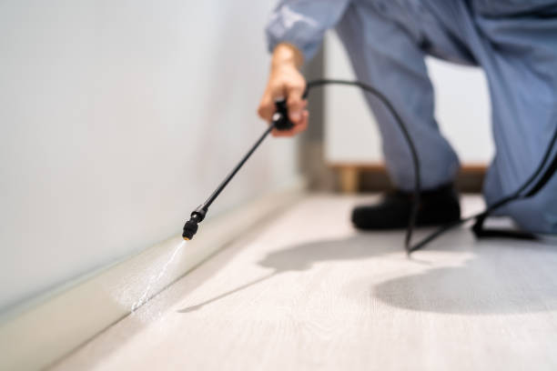 Licensed Pest Control service in Kingsburg, CA - Show Me Pest Control
